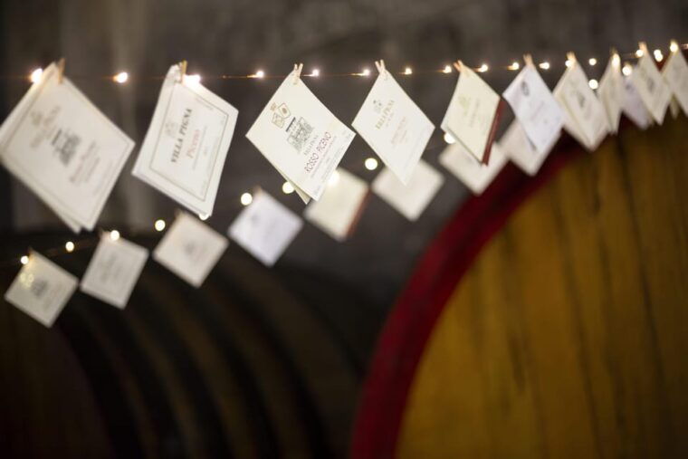 offida-tasting-itinerary-of-rosso-piceno-doc-superiore