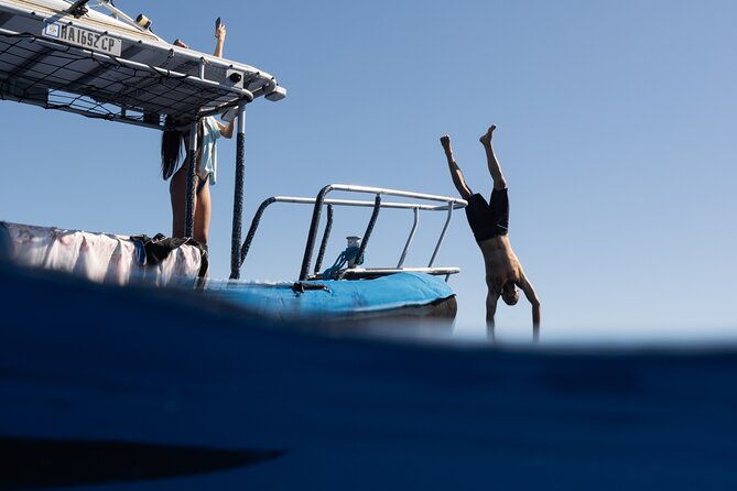 offshore-safari-adventure-in-kona-with-underwater-photos