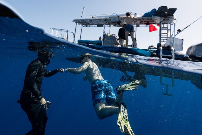 offshore-safari-adventure-in-kona-with-underwater-photos