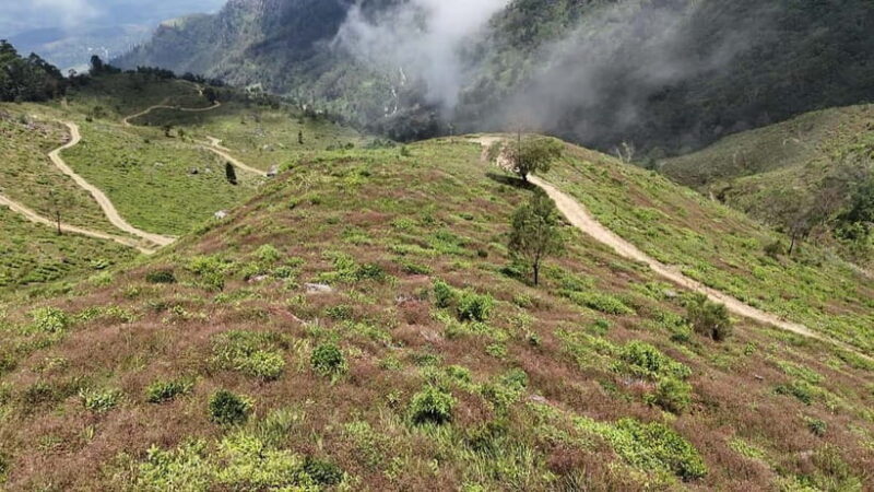 Ohiya: Devils Staircase Guided Hike to Kalupahana - Key Points