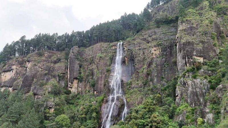 Ohiya: Devils Staircase Guided Hike to Kalupahana - The Guides and Logistics