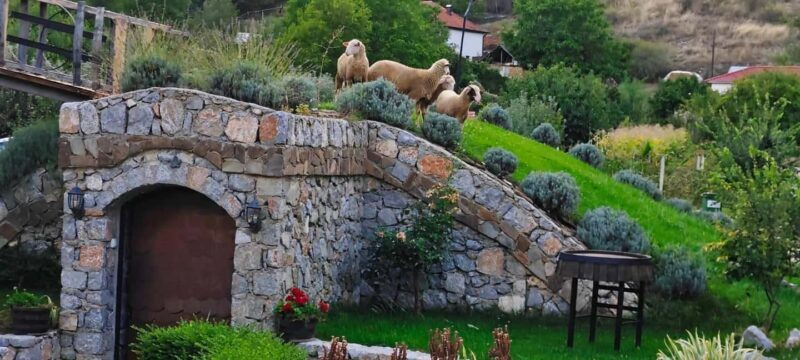 Ohrid: Distillery Balaklija Traditional Rakia Tasting - The Sum Up