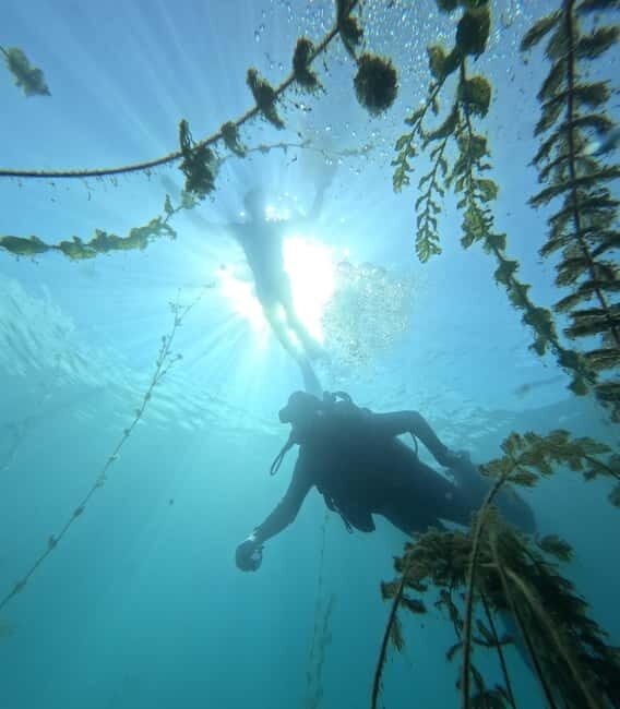 Ohrid: Scuba Diving Experience in Lake Ohrid - Who Will Enjoy This?