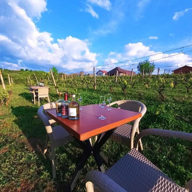 Ohrid: S&S Winery Tour and Wine Tasting Experience - Duration, Group Size, and Practicalities