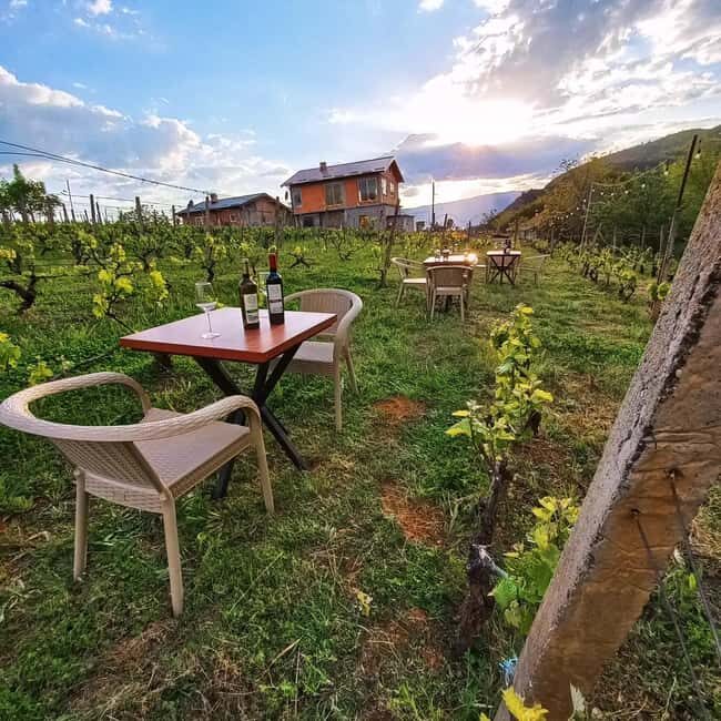 Ohrid: S&S Winery Tour and Wine Tasting Experience - FAQs