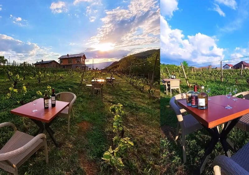 Ohrid - Wine Tasting Experience at S&S Winery - Who Should Consider This Tour?