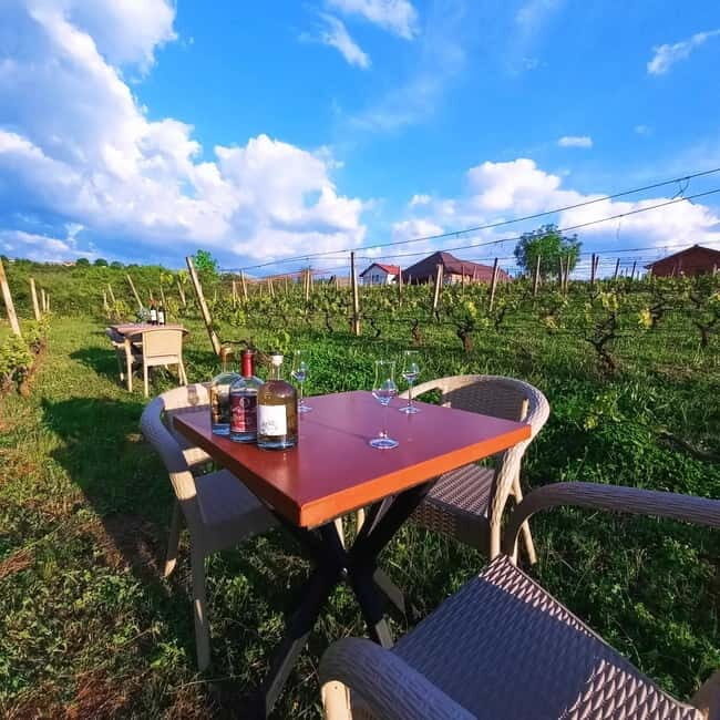 Ohrid - Wine Tasting Experience at S&S Winery - Final Thoughts