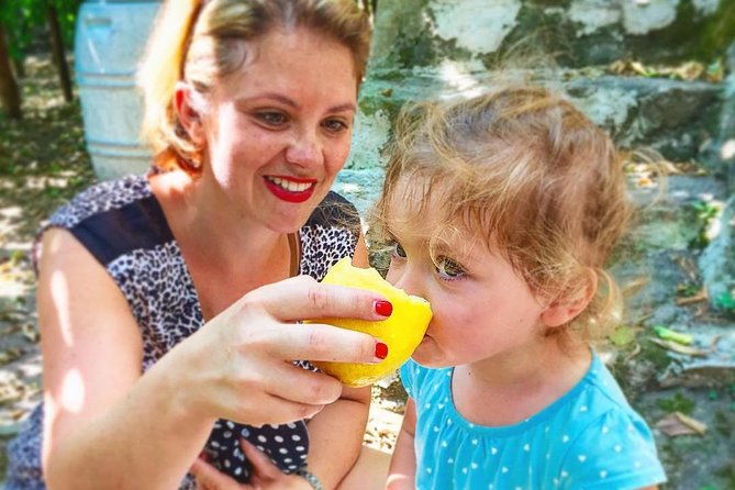 oil-cheese-and-lemon-tour-4