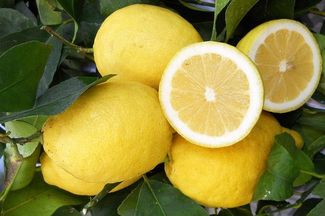 oil-lemon-walking-tour-the-essence-of-sorrento