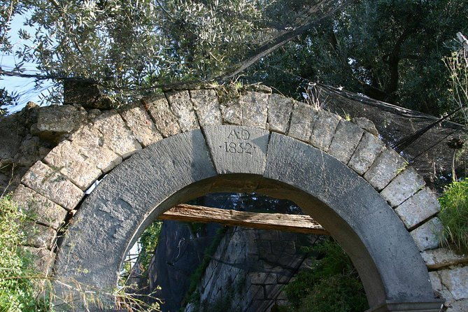 oil-lemon-walking-tour-the-essence-of-sorrento