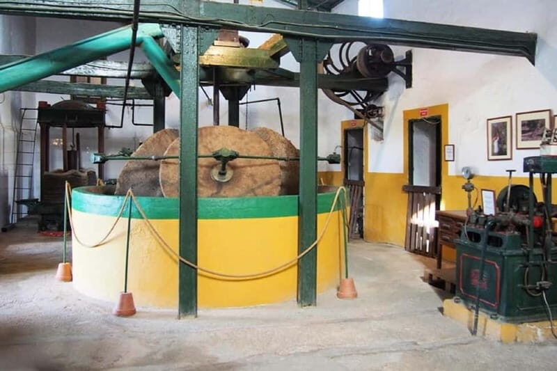 Oil Mill and Agro-Food Market from Costa del Sol - A Closer Look at the Tour Experience