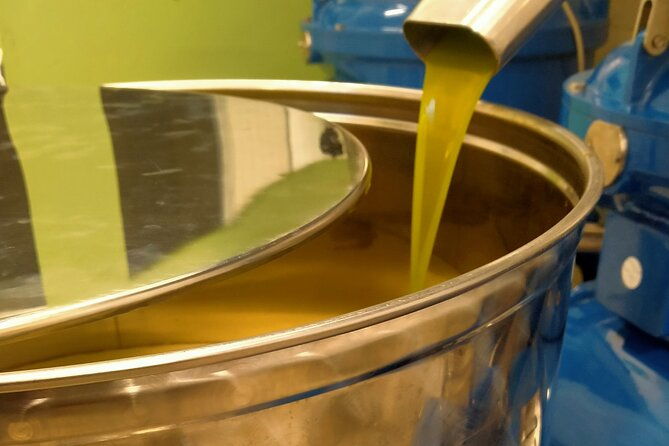 oil-mill-private-tour-with-guided-oil-tasting