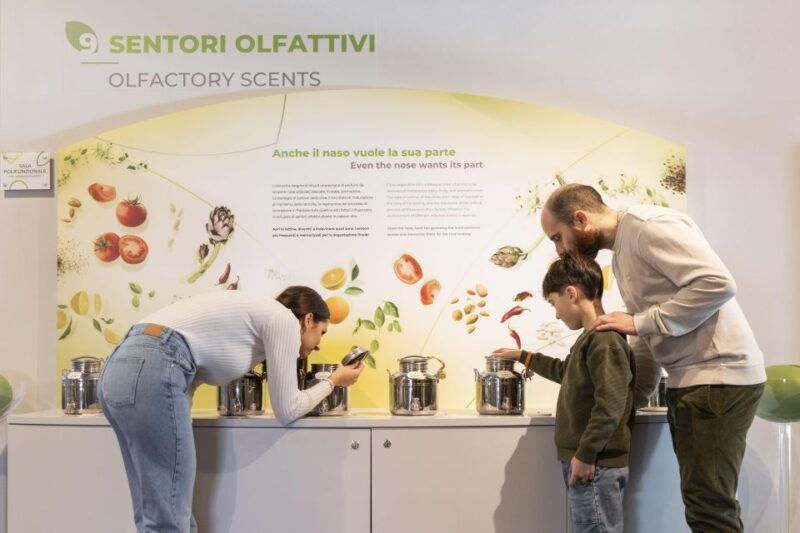 oil-museum-and-mill-in-tuscany-interactive-tour-and-tasting