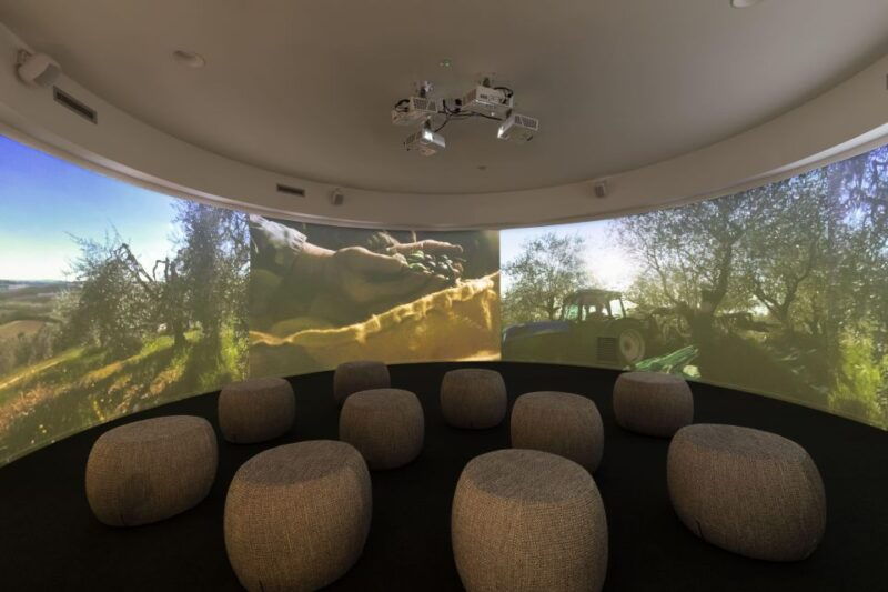 oil-museum-and-mill-in-tuscany-interactive-tour-and-tasting
