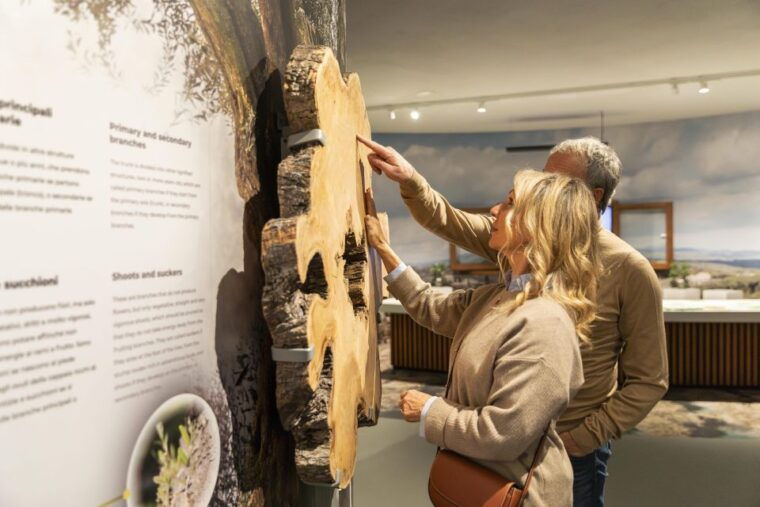 oil-museum-and-mill-in-tuscany-interactive-tour-and-tasting