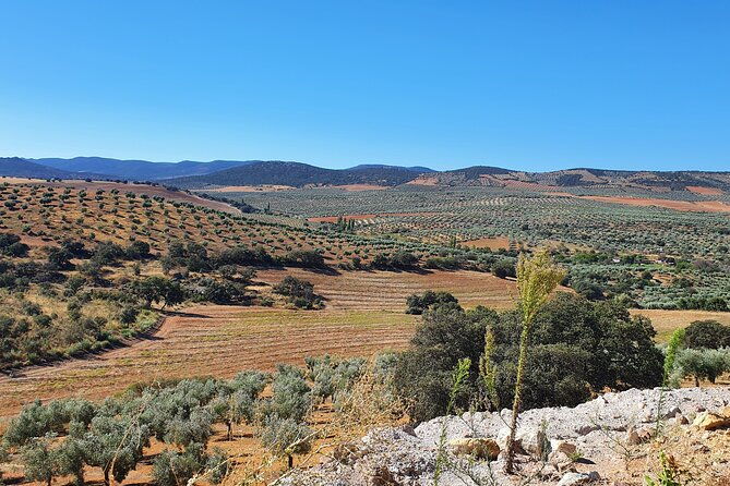 oil-tourism-at-finca-la-pontezuela