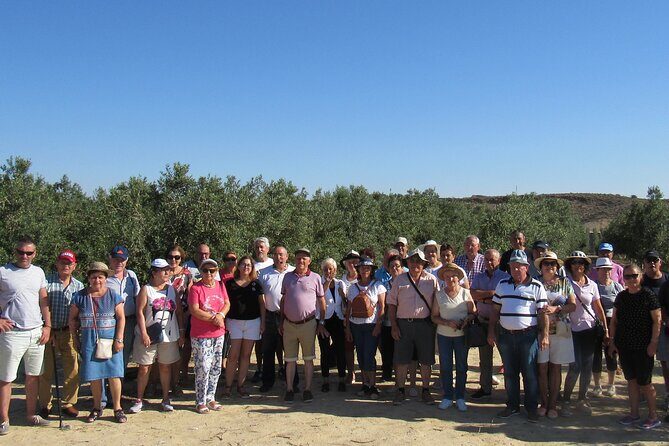 Oil tourism in Pulpí Discover the World of EVOO - The Sum Up