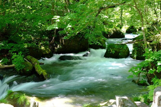oirase-gorge-and-lake-towada-day-hike-with-government-licensed-guide