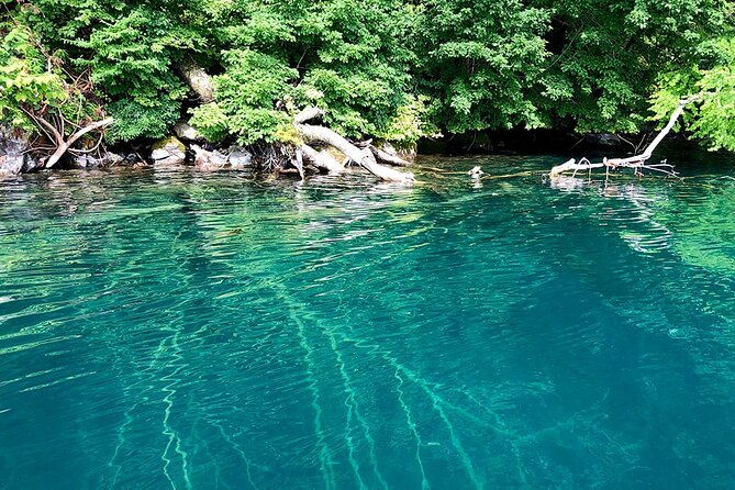oirase-gorge-and-lake-towada-day-hike-with-government-licensed-guide