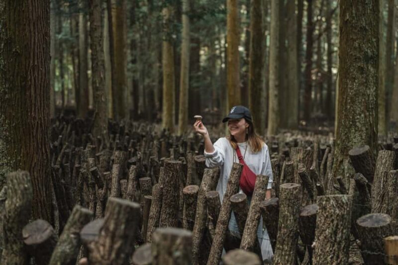 Oita: Shiitake Mushroom Farm Tour & Tasting - Key Points