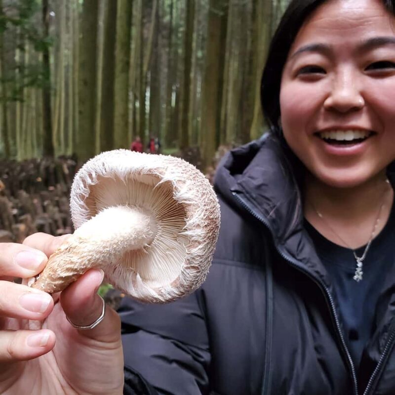 Oita: Shiitake Mushroom Farm Tour & Tasting - Final Thoughts