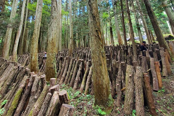 Oita: Shiitake Mushroom Farm Tour & Tasting - An In-Depth Look at the Experience