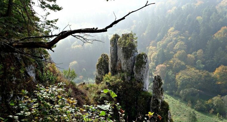 ojcow-national-park-full-day-trip-from-krakow