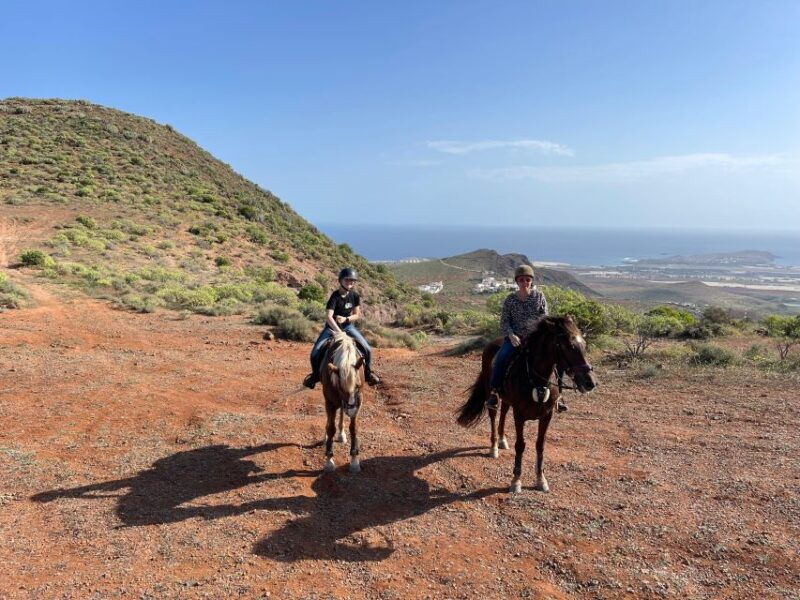 ojos-de-garza-2-hour-las-palmas-mountains-horse-riding-tour