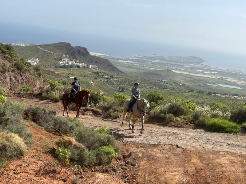 ojos-de-garza-2-hour-las-palmas-mountains-horse-riding-tour