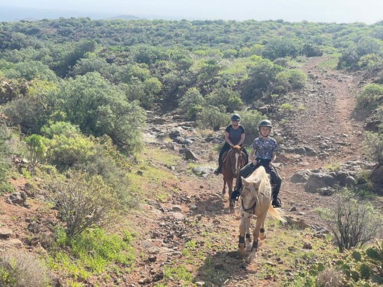 ojos-de-garza-2-hour-las-palmas-mountains-horse-riding-tour