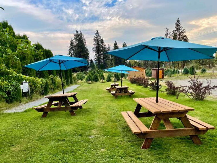 okanagan-bee-tour-wine-tasting-and-lunch-at-kelowna-winery