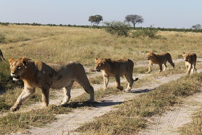 Okavango delta - Chobe Adventure 7 Nights/8 Days - FAQ