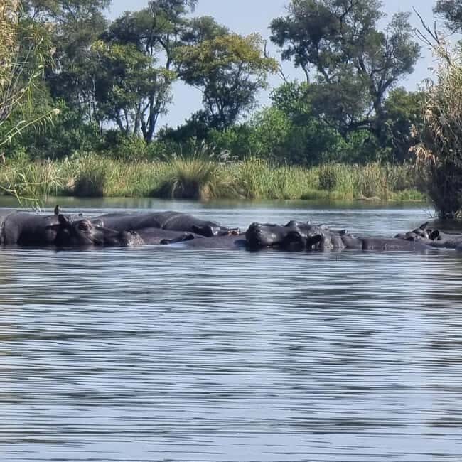 Okavango Delta: Full-Day Mokoro/Canoe Tour All-Inclusive - What’s Included and What’s Not