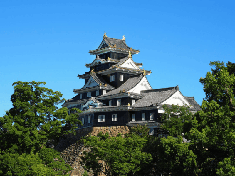 okayama-castle-admission-ticket
