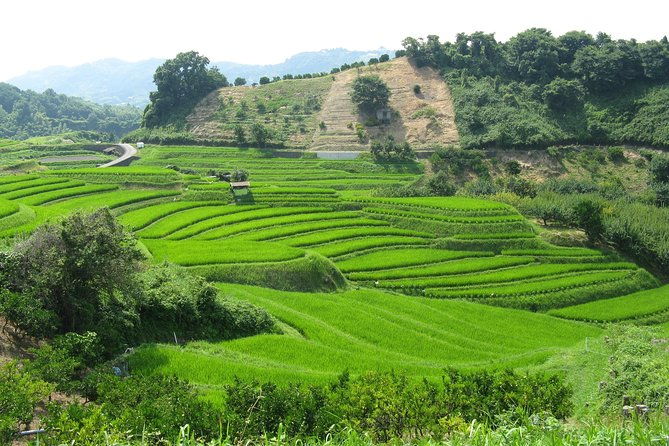 okayama-full-day-private-trip-with-government-licensed-guide