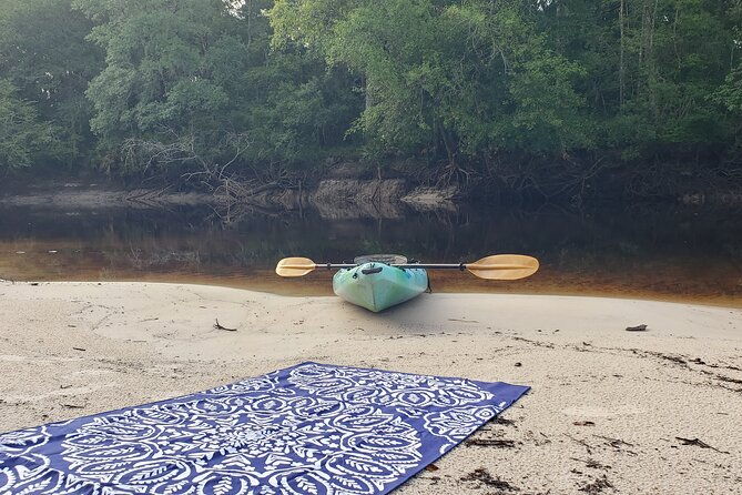okefenokee-swamp-guided-kayak-tour-with-a-local-naturalist