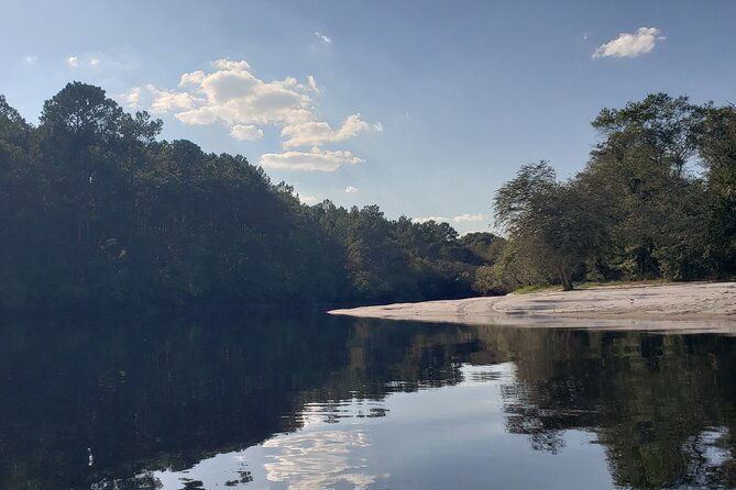 okefenokee-swamp-guided-kayak-tour-with-a-local-naturalist