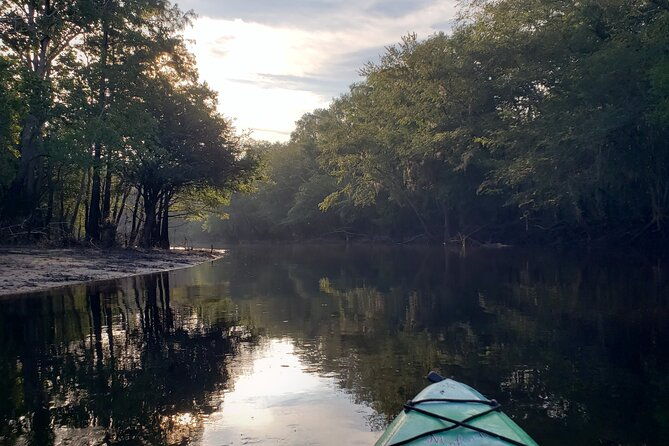 okefenokee-swamp-guided-kayak-tour-with-a-local-naturalist