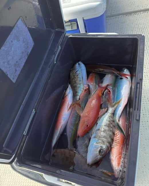 Okinawa: 1/2-Day Private Sea Fishing Charter, Naha w/Pickup - The Sum Up