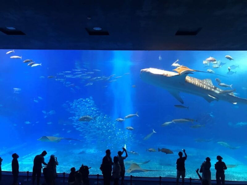okinawa-aquarium-kouri-island-american-village-bus-tour
