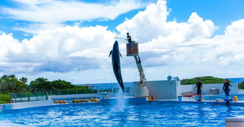 okinawa-aquarium-kouri-island-american-village-bus-tour