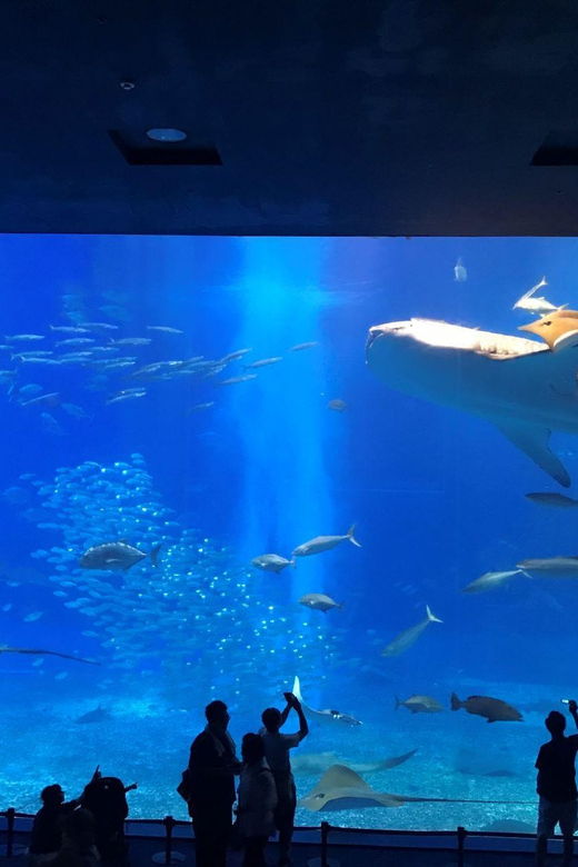 okinawa-aquarium-kouri-island-american-village-bus-tour