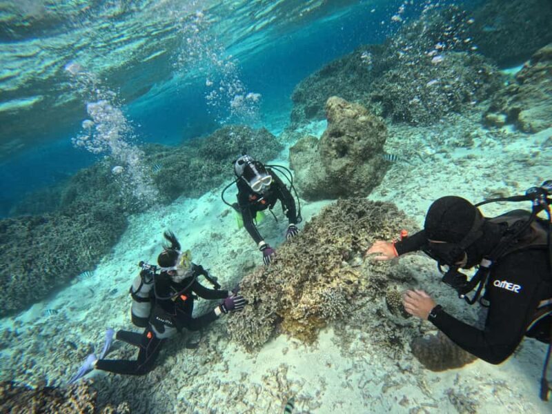 Okinawa Blue Cave Boat Diving in Onna Village| 8 Perks - Who Should Consider This Tour?