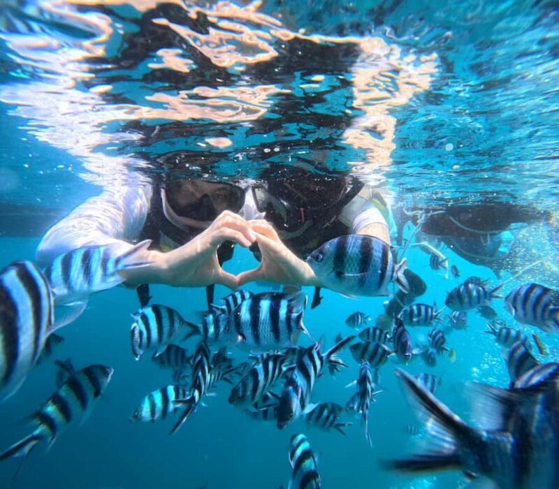 Okinawa: Blue Cave Boat Snorkeling with Free Gopro Photos - Key Points