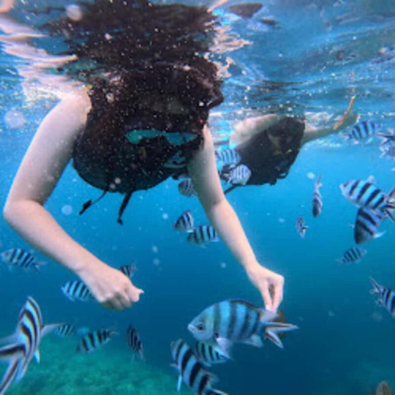 Okinawa: Blue Cave Boat Snorkeling with Free Gopro Photos - What Travelers Are Saying