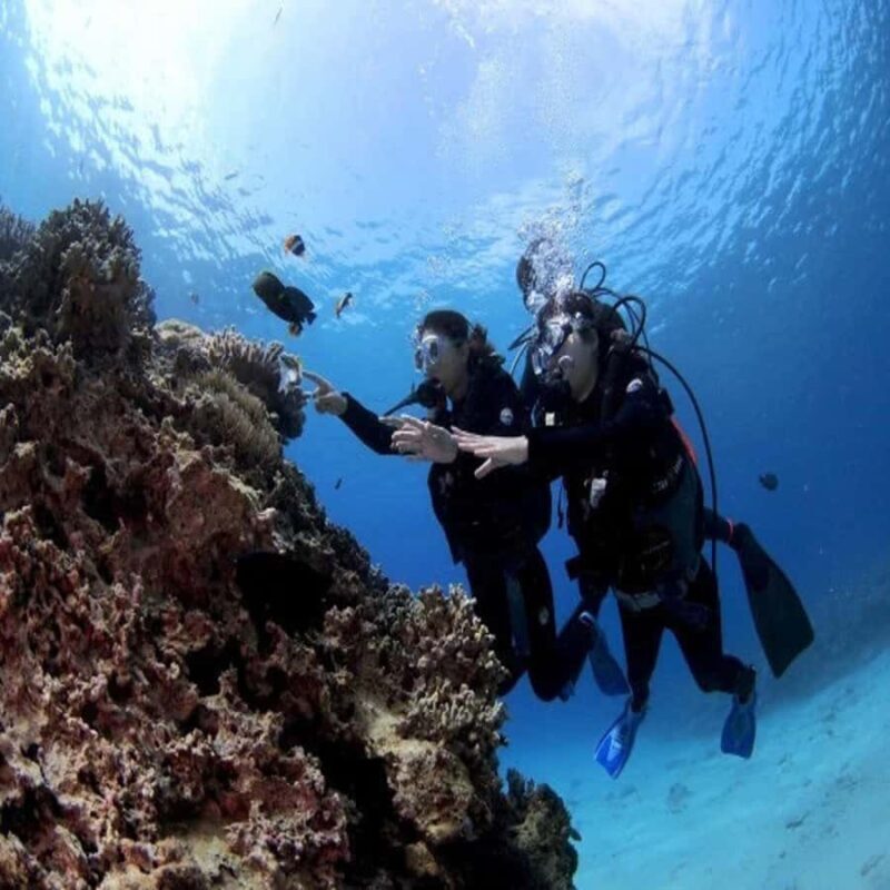 Okinawa: Blue Cave Diving Tour with GoPro Photos - Key Points