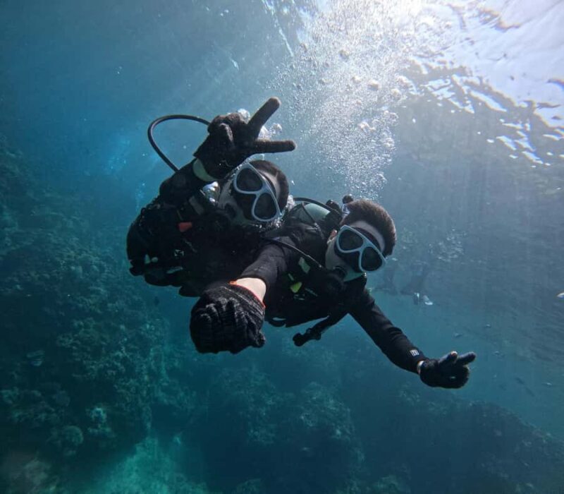 Okinawa: Blue Cave Diving Tour with GoPro Photos - Who This Tour Is Best For