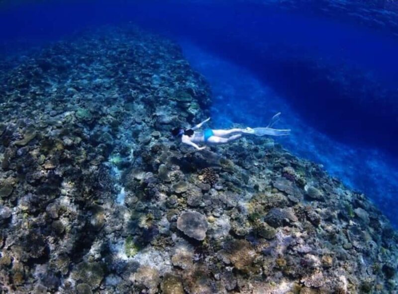 Okinawa: Blue Cave Freediving Tour with GoPro Photos - Key Points