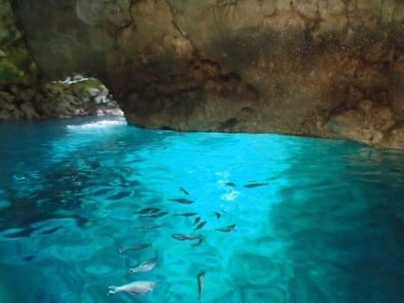 Okinawa: Blue Cave Freediving Tour with GoPro Photos - The Experience of Freediving in Okinawa