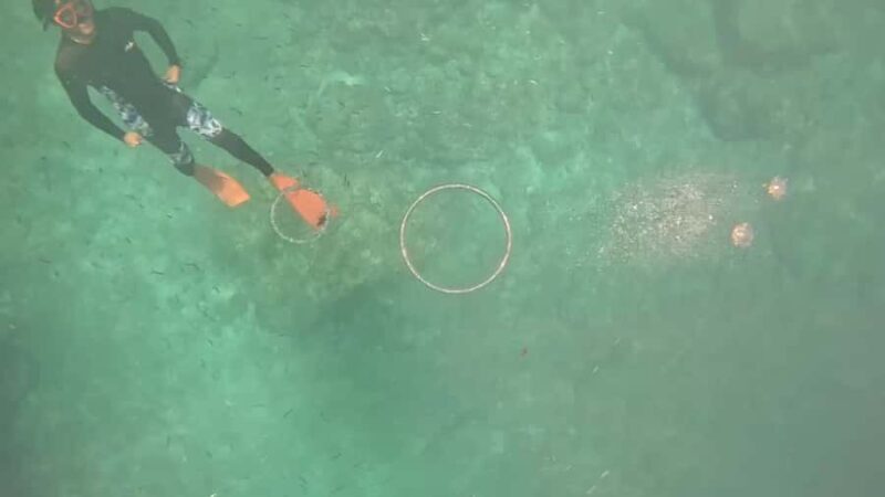 Okinawa: Blue Cave Freediving Tour with GoPro Photos - Who Should Consider This Tour